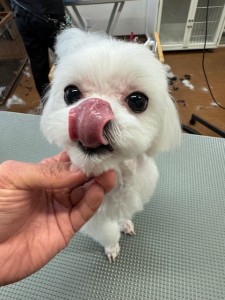 f2bffde2-505f-41aa-8773-566d9e057f3f