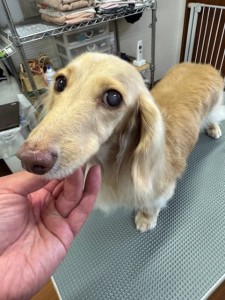 f2bffde2-505f-41aa-8773-566d9e057f3f