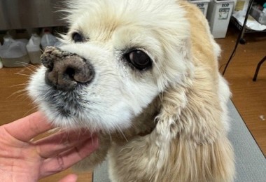 thumbnail_image5 (1)