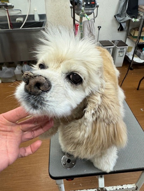 thumbnail_image5 (1)