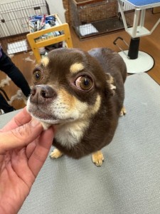 thumbnail_image6 (1)