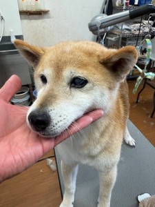 089c18cf-c51d-4496-90a7-1c36668d24d4