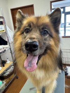 089c18cf-c51d-4496-90a7-1c36668d24d4