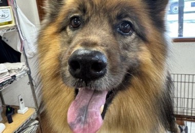 089c18cf-c51d-4496-90a7-1c36668d24d4