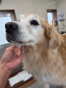 089c18cf-c51d-4496-90a7-1c36668d24d4