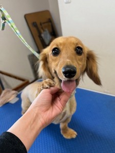 089c18cf-c51d-4496-90a7-1c36668d24d4