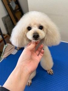 089c18cf-c51d-4496-90a7-1c36668d24d4