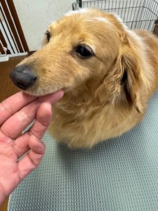 089c18cf-c51d-4496-90a7-1c36668d24d4