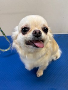 089c18cf-c51d-4496-90a7-1c36668d24d4