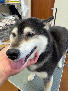 089c18cf-c51d-4496-90a7-1c36668d24d4