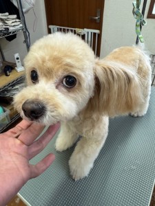 089c18cf-c51d-4496-90a7-1c36668d24d4