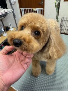 089c18cf-c51d-4496-90a7-1c36668d24d4