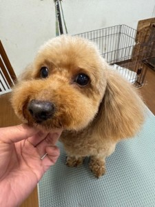 089c18cf-c51d-4496-90a7-1c36668d24d4