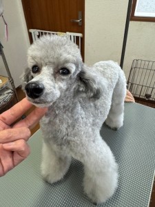 089c18cf-c51d-4496-90a7-1c36668d24d4