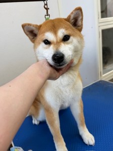 089c18cf-c51d-4496-90a7-1c36668d24d4