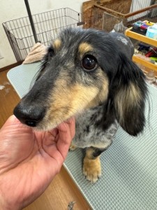 089c18cf-c51d-4496-90a7-1c36668d24d4