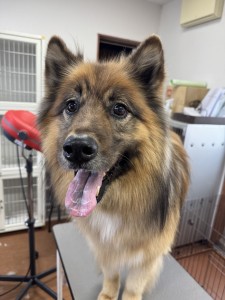 089c18cf-c51d-4496-90a7-1c36668d24d4