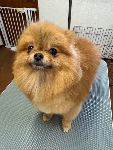 089c18cf-c51d-4496-90a7-1c36668d24d4