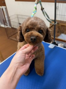 089c18cf-c51d-4496-90a7-1c36668d24d4