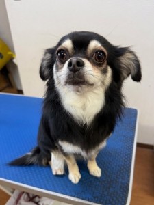 089c18cf-c51d-4496-90a7-1c36668d24d4