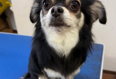 089c18cf-c51d-4496-90a7-1c36668d24d4