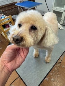 089c18cf-c51d-4496-90a7-1c36668d24d4