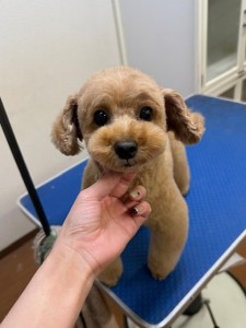 089c18cf-c51d-4496-90a7-1c36668d24d4