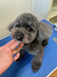 089c18cf-c51d-4496-90a7-1c36668d24d4