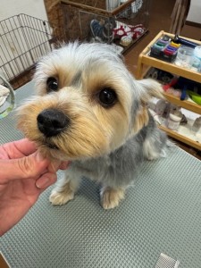 224c813d-1e0a-46f9-b598-c6c9b76b43fa