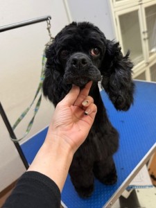 224c813d-1e0a-46f9-b598-c6c9b76b43fa