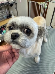 224c813d-1e0a-46f9-b598-c6c9b76b43fa