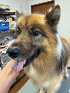 224c813d-1e0a-46f9-b598-c6c9b76b43fa