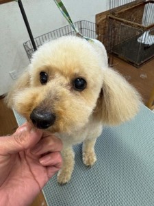 224c813d-1e0a-46f9-b598-c6c9b76b43fa