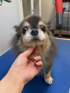 224c813d-1e0a-46f9-b598-c6c9b76b43fa