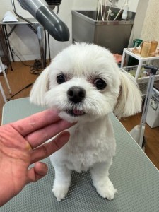 224c813d-1e0a-46f9-b598-c6c9b76b43fa