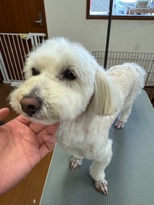 224c813d-1e0a-46f9-b598-c6c9b76b43fa