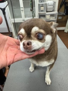 224c813d-1e0a-46f9-b598-c6c9b76b43fa