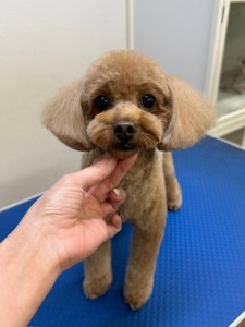 224c813d-1e0a-46f9-b598-c6c9b76b43fa