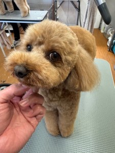 224c813d-1e0a-46f9-b598-c6c9b76b43fa