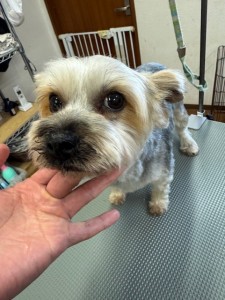 224c813d-1e0a-46f9-b598-c6c9b76b43fa