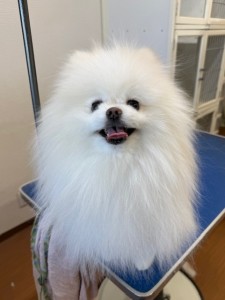 224c813d-1e0a-46f9-b598-c6c9b76b43fa