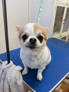 224c813d-1e0a-46f9-b598-c6c9b76b43fa