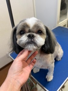 224c813d-1e0a-46f9-b598-c6c9b76b43fa