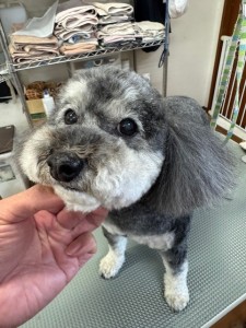 252c4d89-6189-4de5-9542-fe3e95604e85