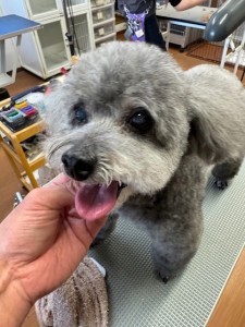 252c4d89-6189-4de5-9542-fe3e95604e85