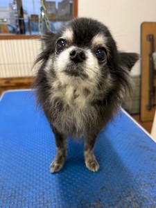 252c4d89-6189-4de5-9542-fe3e95604e85