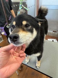 252c4d89-6189-4de5-9542-fe3e95604e85