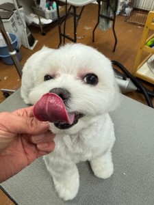 252c4d89-6189-4de5-9542-fe3e95604e85