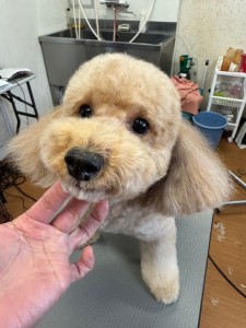 252c4d89-6189-4de5-9542-fe3e95604e85