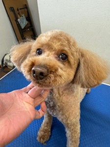 252c4d89-6189-4de5-9542-fe3e95604e85